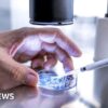 Landmark Court Ruling Forces Major Alabama Hospital to Halt IVF Program as Frozen Embryos Gain Legal Status as Children